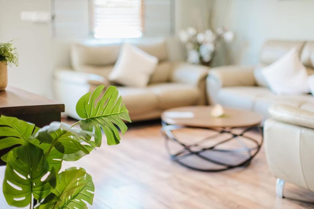 Platinum Cawa Apartments ナンディ エクステリア 写真